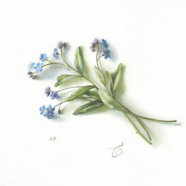 Девушка с незабудками