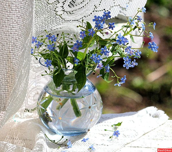 Девушка с незабудками