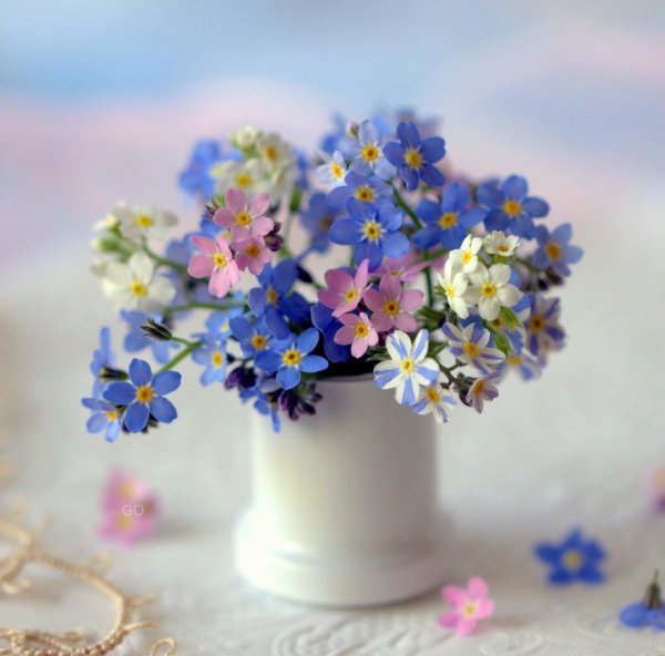 Девушка с незабудками