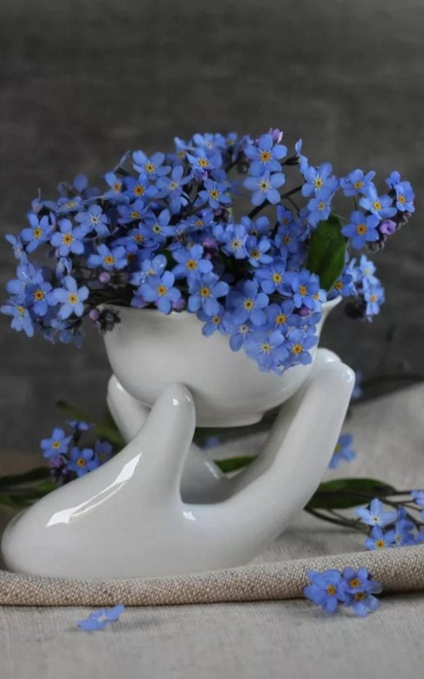 Девушка с незабудками