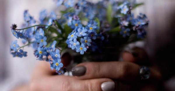 Девушка с незабудками