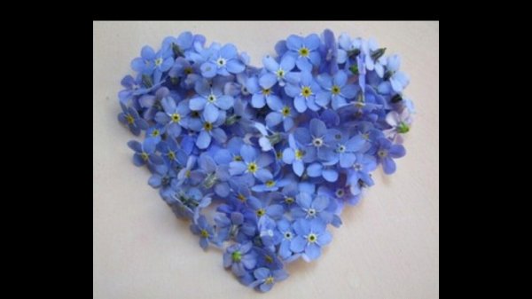 Девушка с незабудками