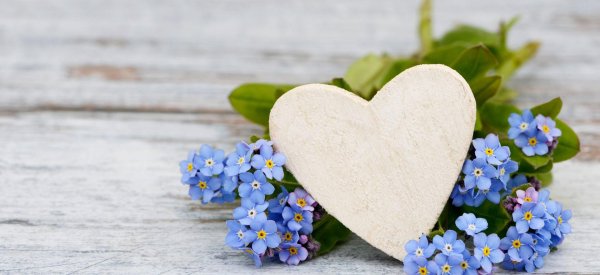 Девушка с незабудками