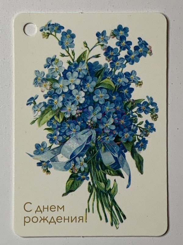 Девушка с незабудками