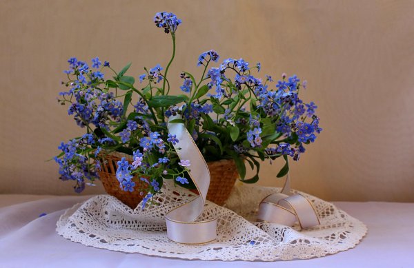 Девушка с незабудками