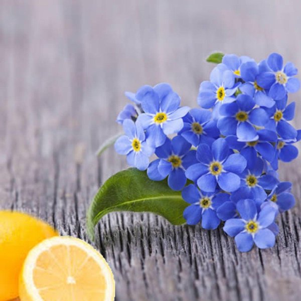 Девушка с незабудками