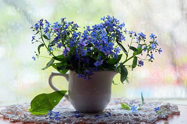 Девушка с незабудками