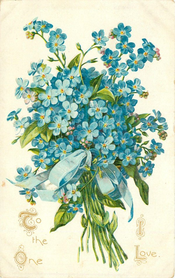 Девушка с незабудками