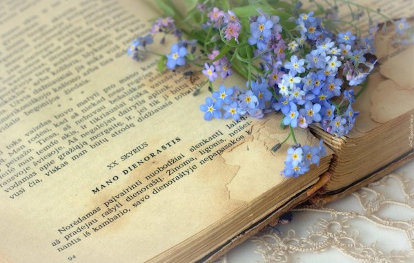 Девушка с незабудками