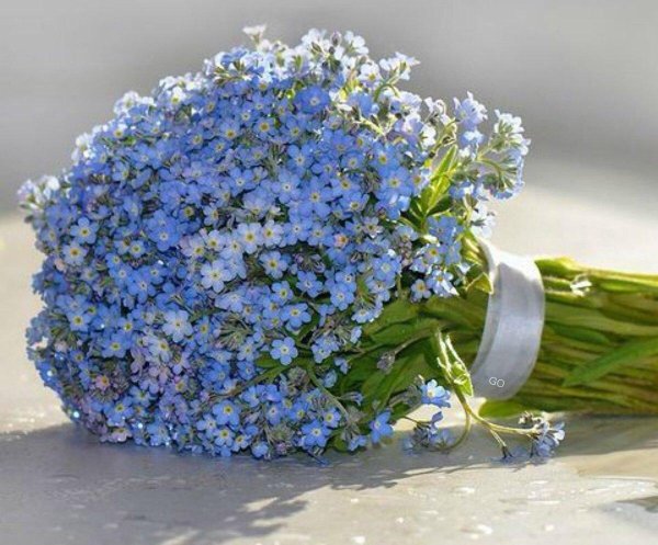 Девушка с незабудками