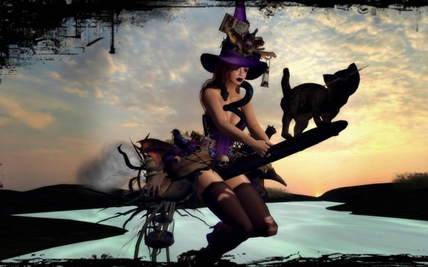 Девушка на метле