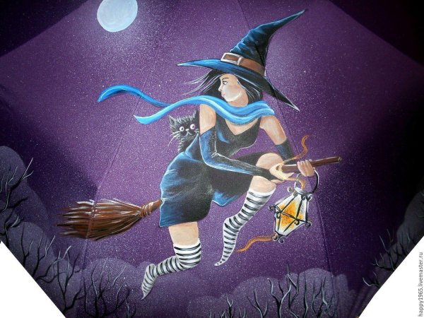 Девушка на метле