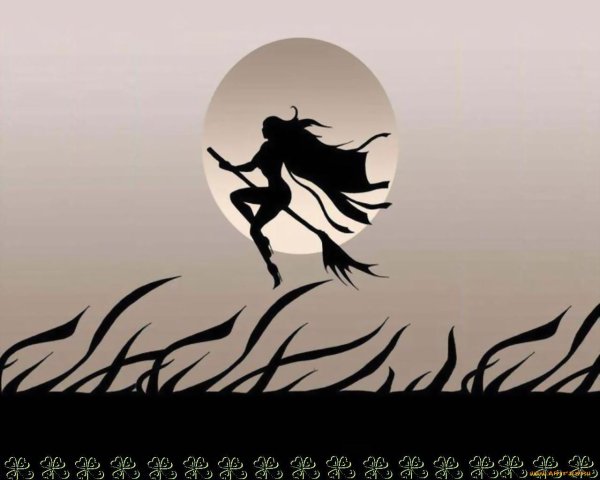 Девушка на метле