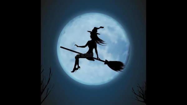 Девушка на метле