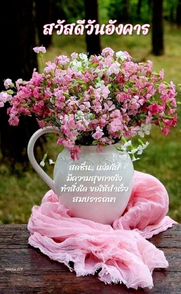 цветок нежный