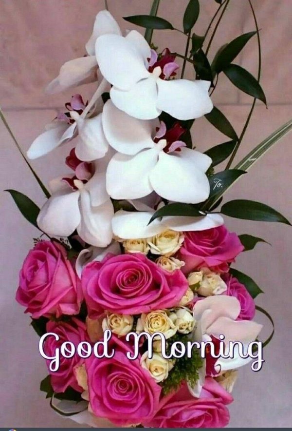 букет орхидеи