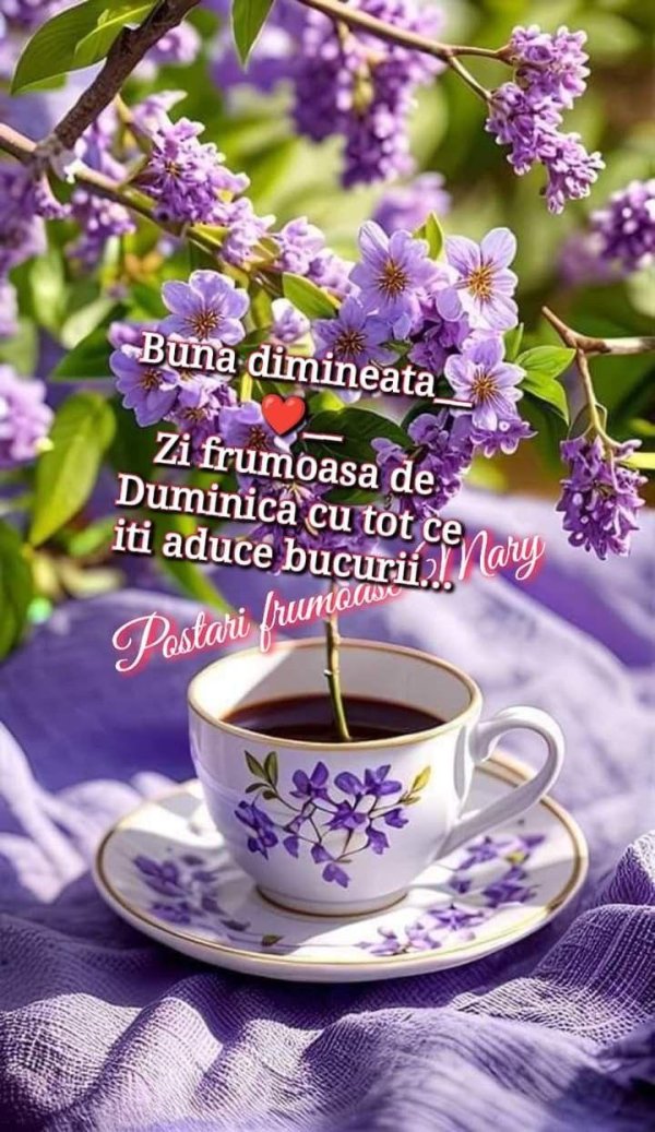 buna dimineata