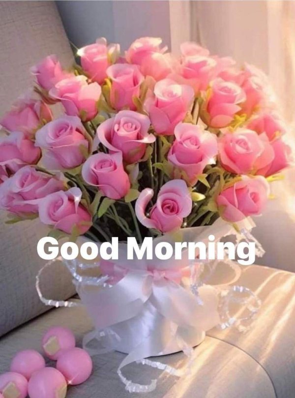 good morning flower