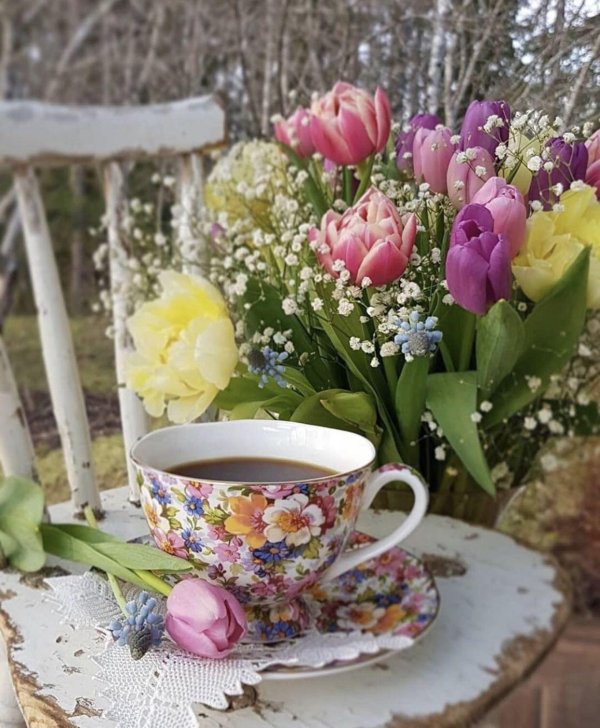 доброго утра весна