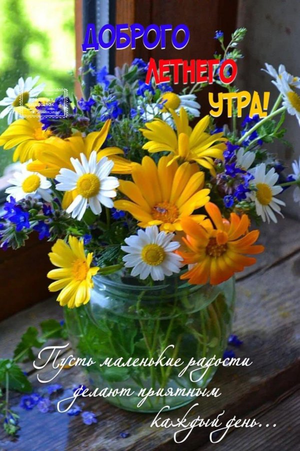 летнего утра