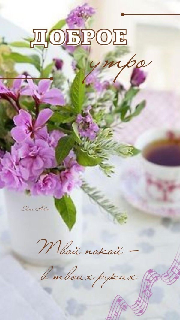 утренние цветы