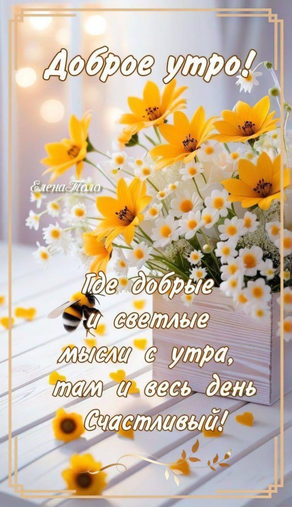 добра утра