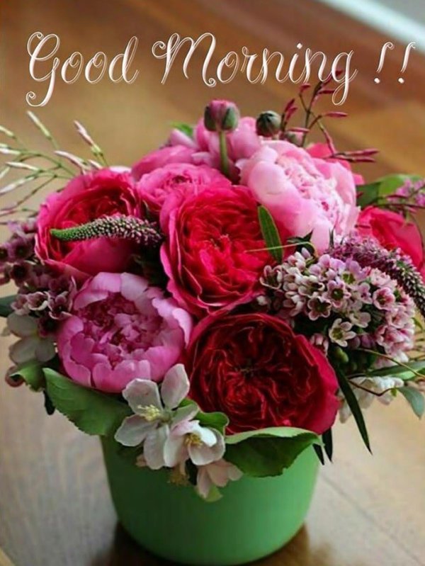 доброе утро букеты цветов красивые