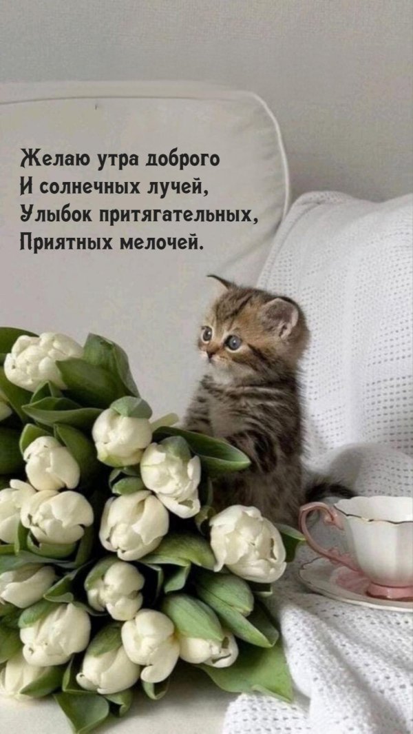 доброе утро обнимашки