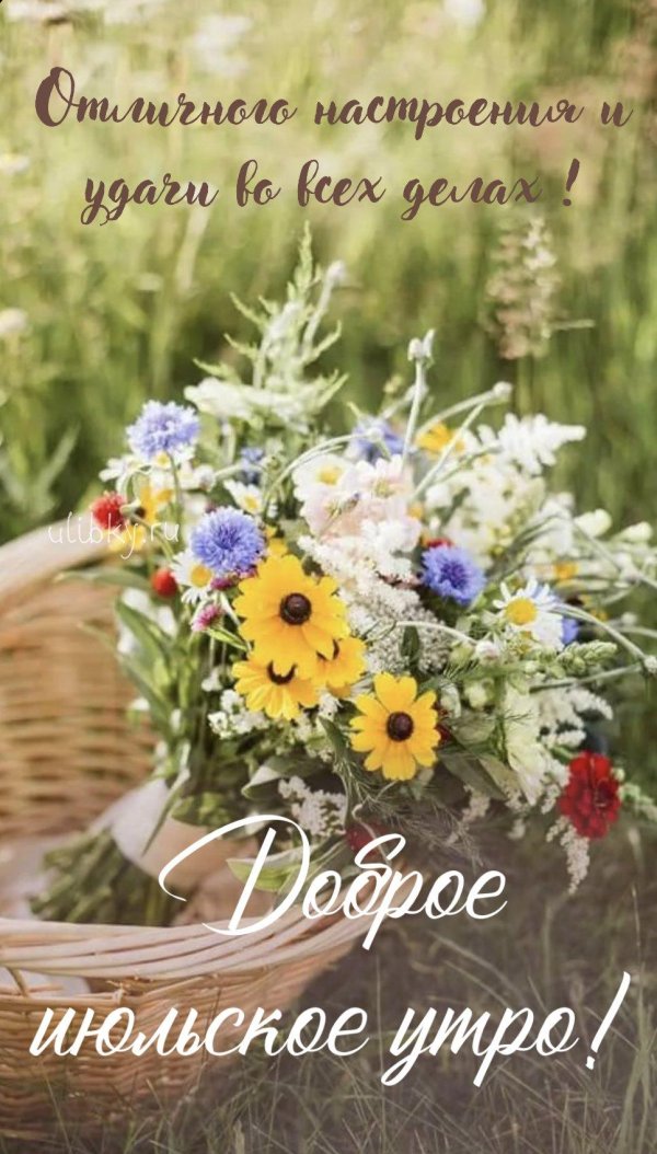 доброе утро лето август