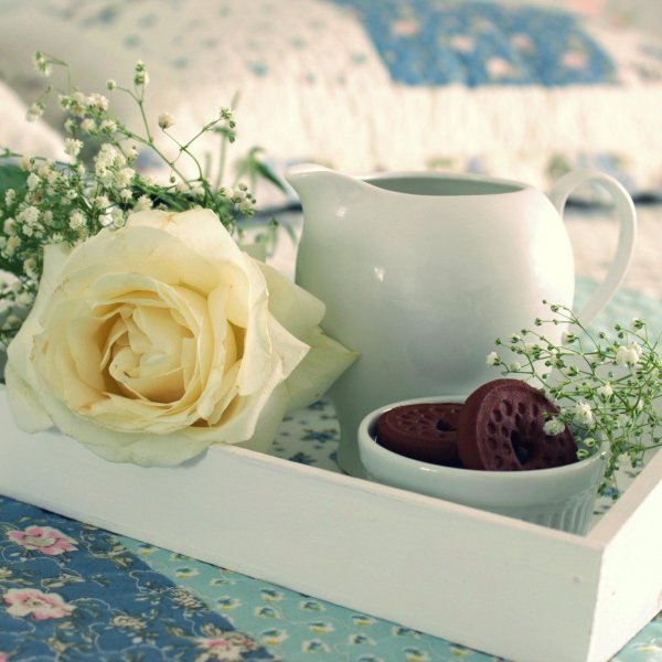 нежного утра