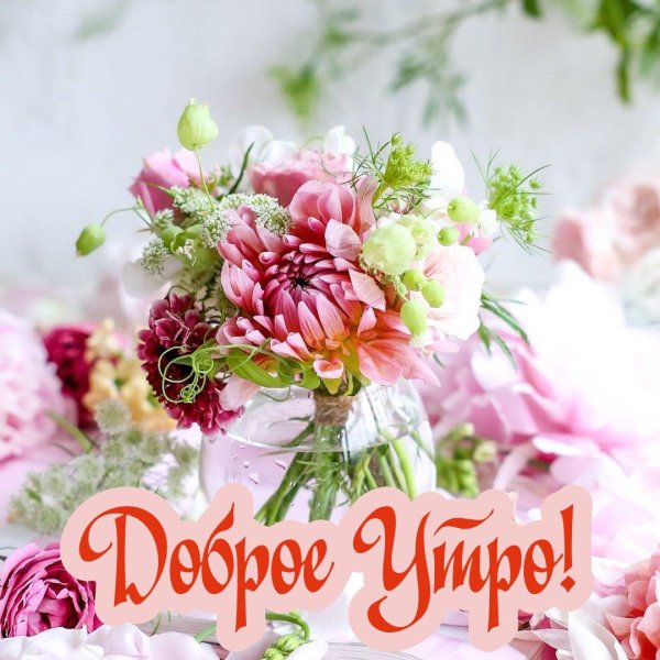 доброго утра цветы