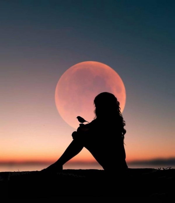 Полнолуние и девушка