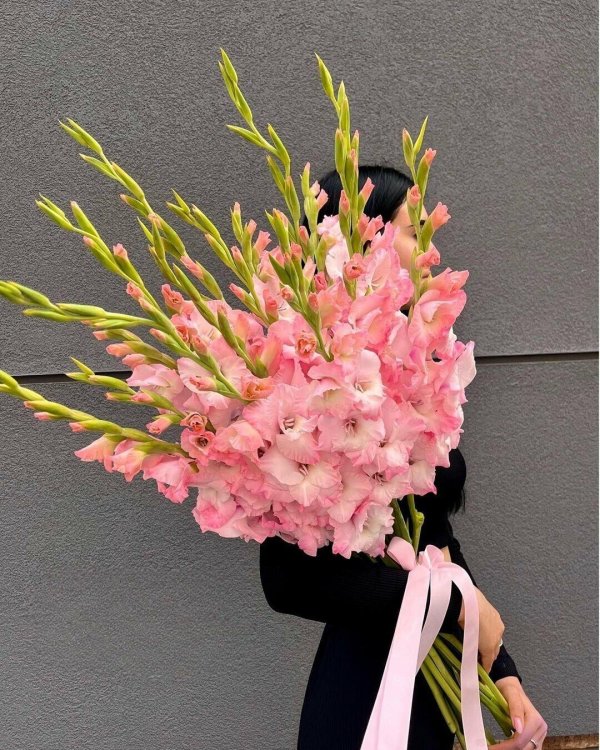 букет гладиолусов