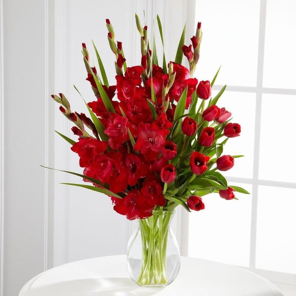букет красных гладиолусов