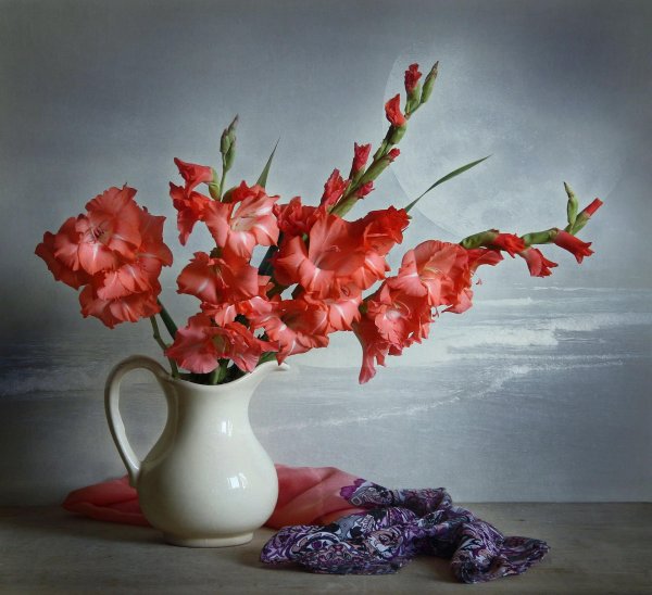 фотонатюрморты с гладиолусами