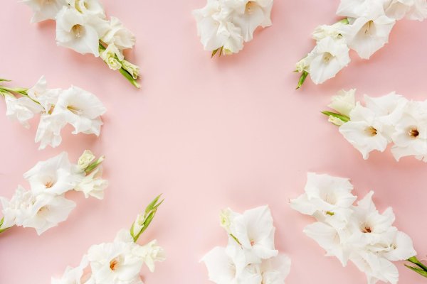 букет белых гладиолусов