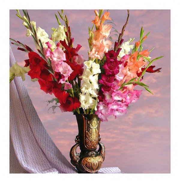 гладиолусы в вазе