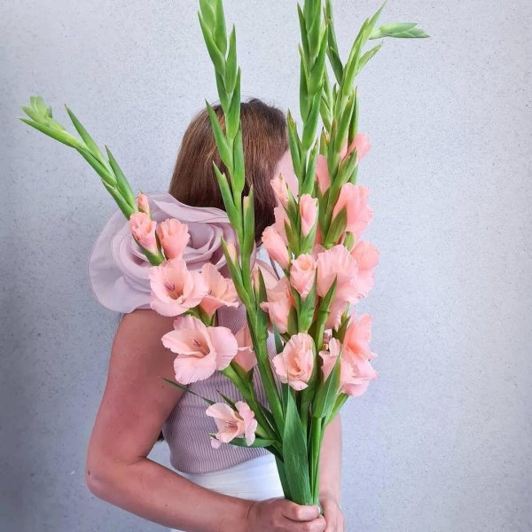 гладиолусы персикового цвета