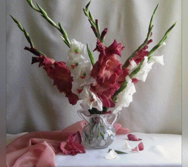 натюрморт с гладиолусами