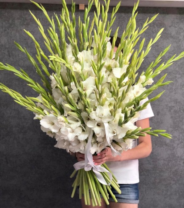 букет белых гладиолусов