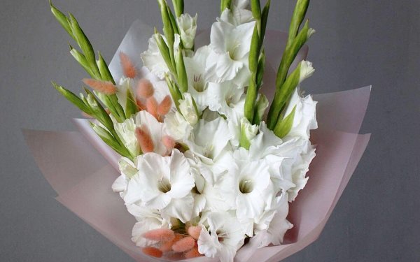 букет белых гладиолусов