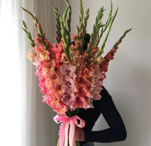 гладиолусы монобукет