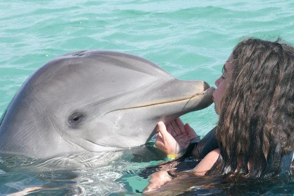 Девушка с дельфином