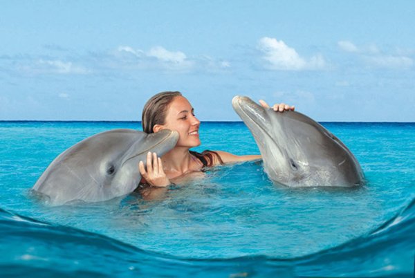 Девушка с дельфином