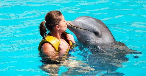 Девушка с дельфином