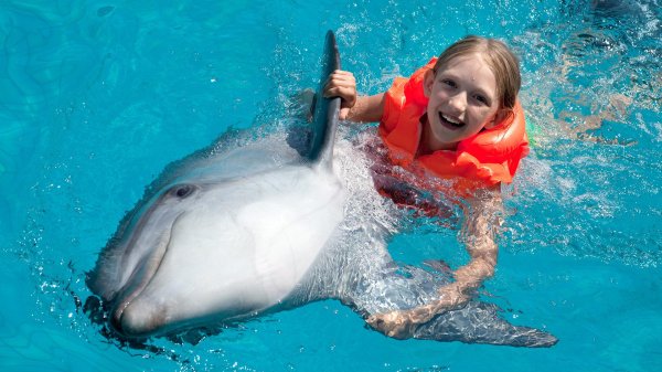 Девушка с дельфином