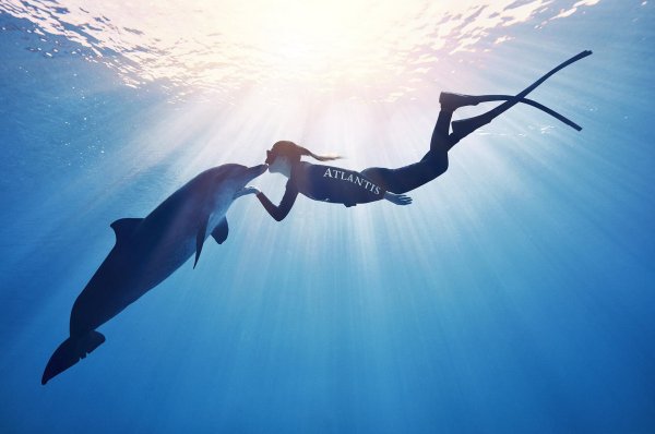 Девушка с дельфином