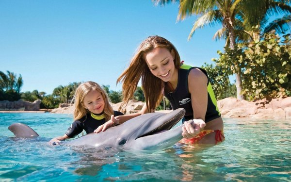 Девушка с дельфином