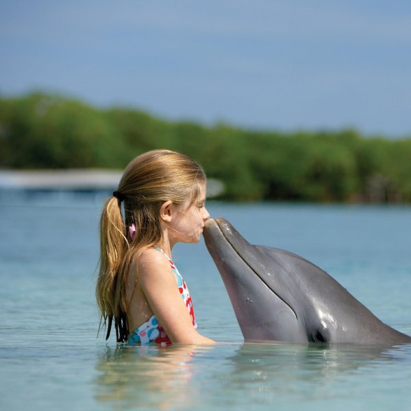 Девушка с дельфином