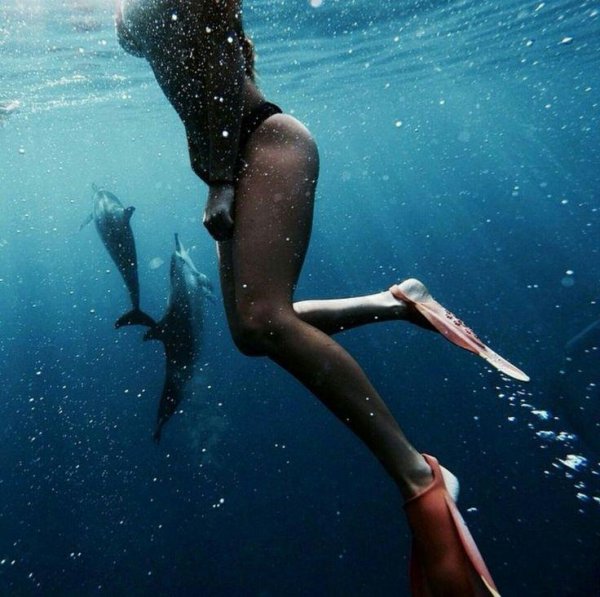 Девушка с дельфином